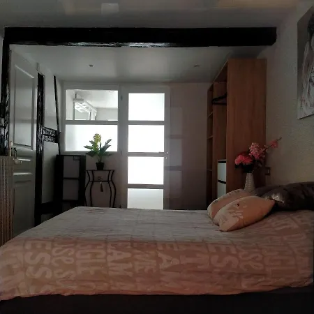 Pensjonat Passage Des Romains Horbourg