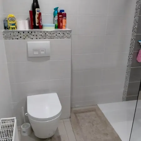 Passage Des Romains Horbourg-Wihr