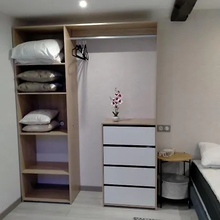 Passage Des Romains 3* Horbourg-Wihr